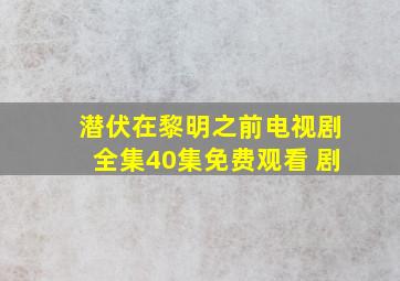 潜伏在黎明之前电视剧全集40集免费观看 剧